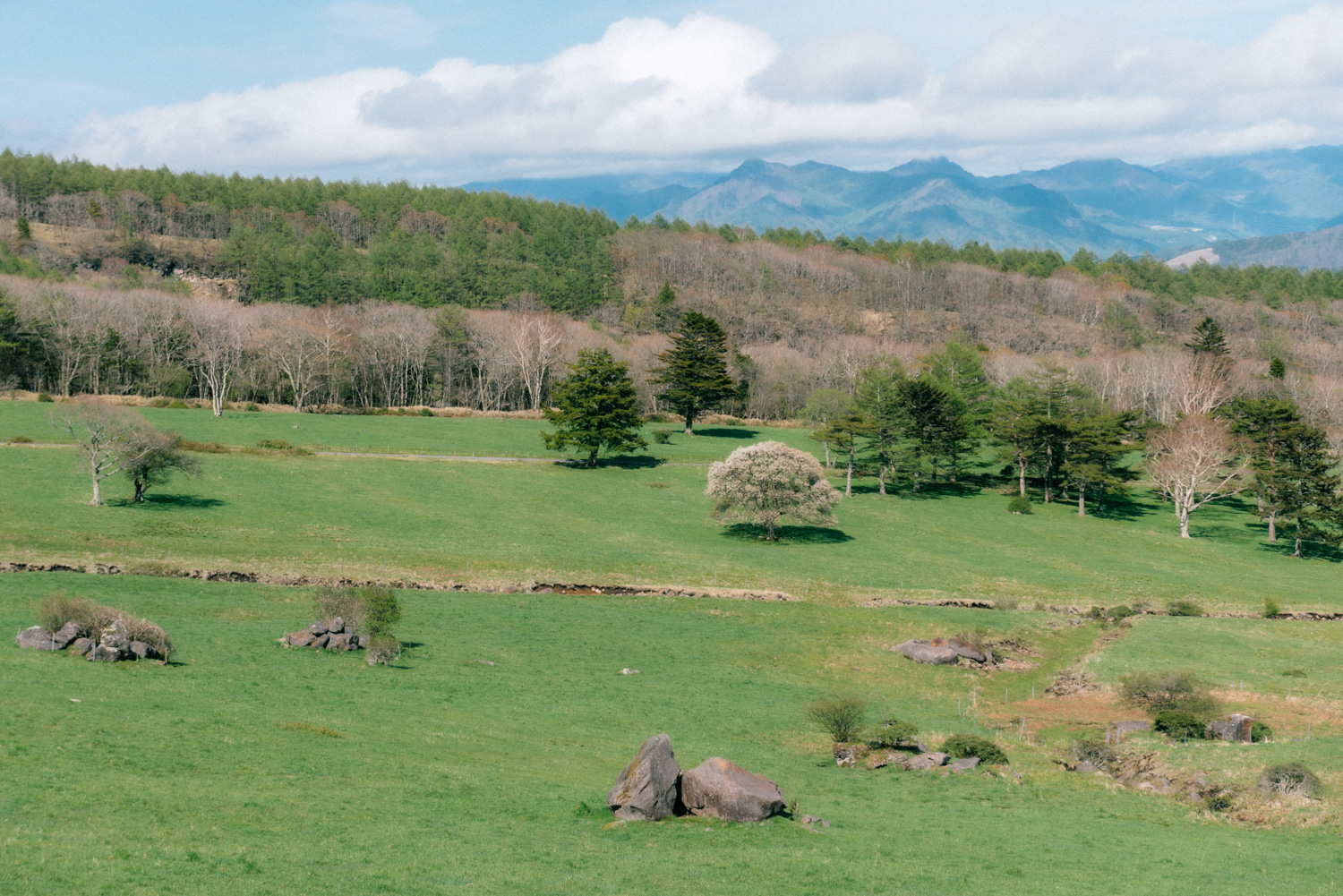 美し森と天女山の景色