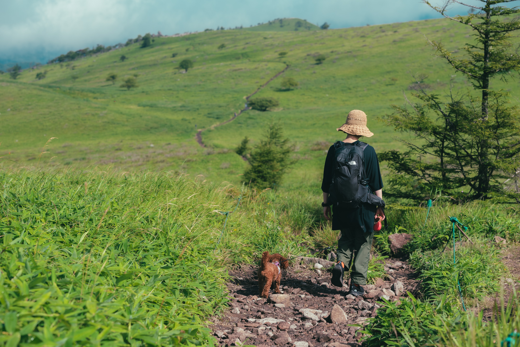 霧ヶ峰の高原歩きと広い空
